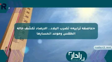 «عاصفة ترابية» تضرب البلاد.. الأرصاد تكشف حالة الطقس وموعد انحسارها